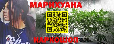 сатива Долгопрудный