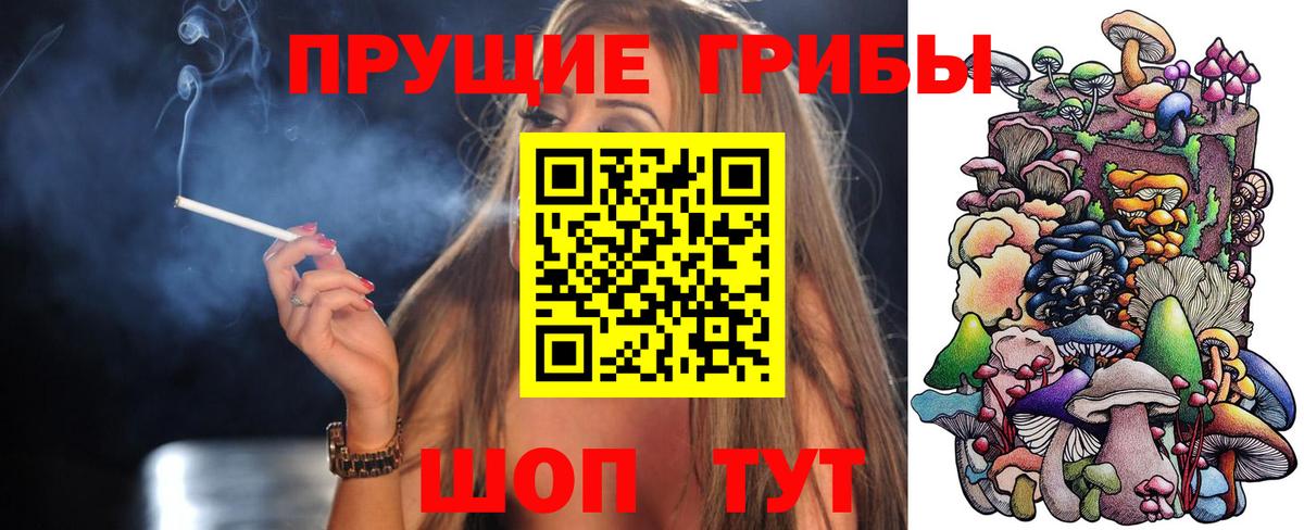 Добрянка  Псилоцибиновые грибы Psilocybe  Вход с VPN 